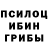 Псилоцибиновые грибы прущие грибы Sasha Shipilov