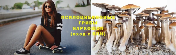 гашик Медногорск