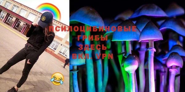 гашик Медногорск