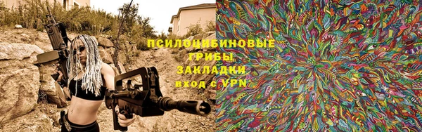 гашик Медногорск