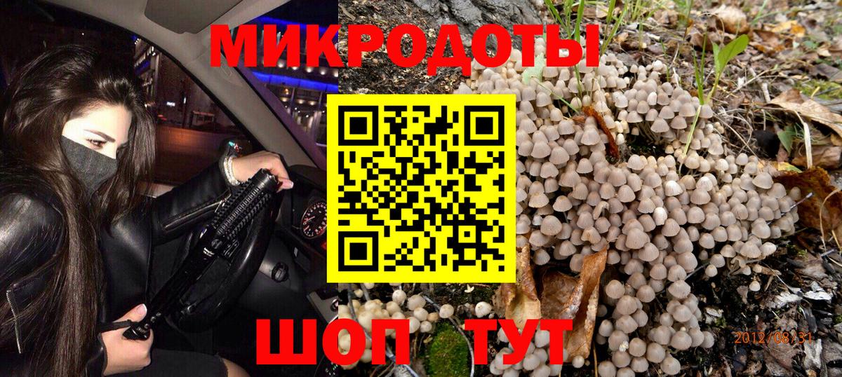 Псилоцибиновые грибы GOLDEN TEACHER Канаш