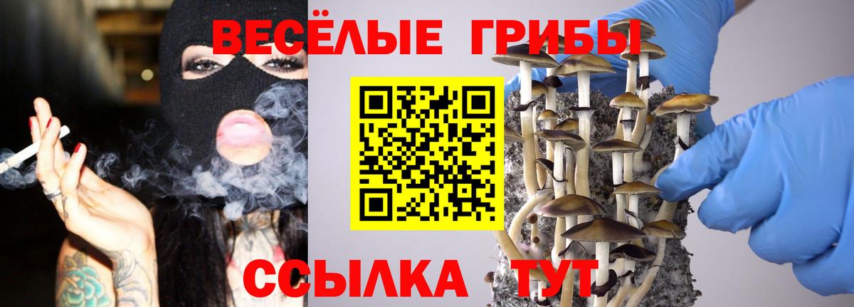 Псилоцибиновые грибы прущие грибы  Вход с VPN  Галлюциногенные грибы Psilocybe  Канаш 